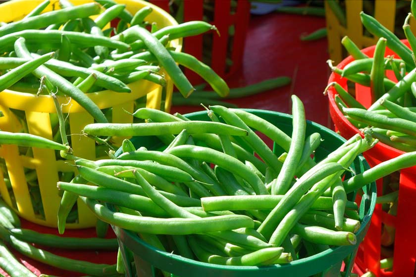 Fisolen frisch am Markt